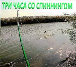 ТРИ ЧАСА СО СПИННИНГОМ
