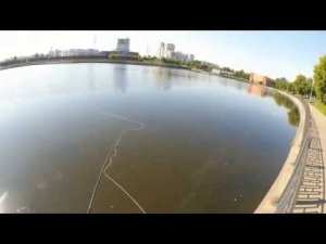 Выходы жереха без атаки. Кожуховский пруд.