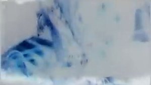 Флер - Формалин