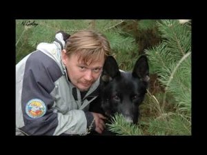 Hexen House (Вальс)