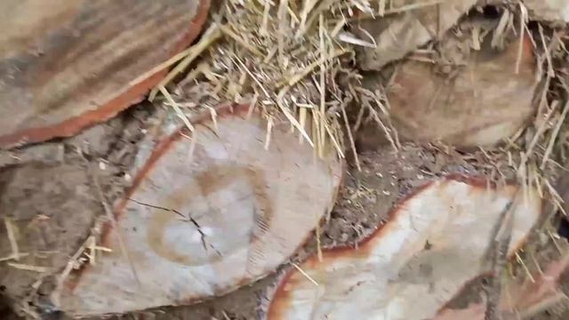 Строим Баню из глиночурки смотреть онлайн