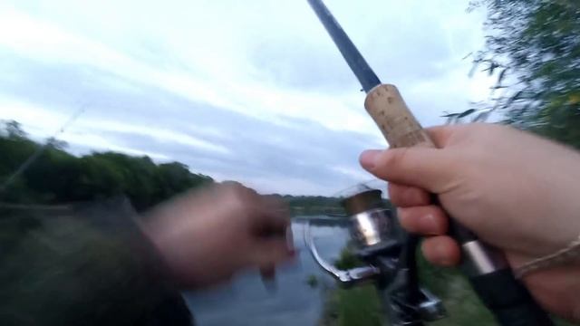 Ловля сазана на течении на фидер в июле. - Рыбалка на сазана на кукурузу. Сура. Лунино. смотреть онлайн