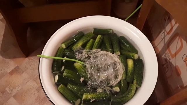 Озонирование огурцов  перед закруткой