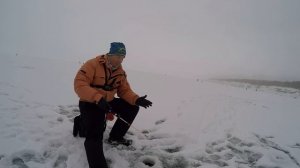 Берш зимой. Тактика ловли.