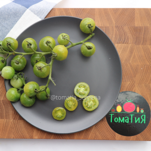 Доктор Фростед