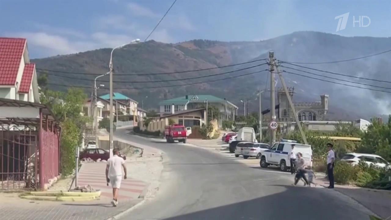 В Геленджике полностью потушили лесной пожар