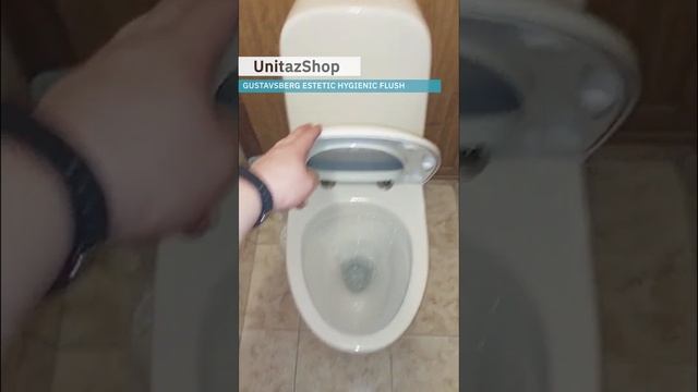 Унитаз с установкой под ключ Gustavsberg Estetic Hygienic Flush от UnitazShop