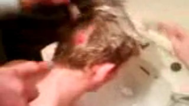 Sick Beanz gettin terrorized смотреть онлайн