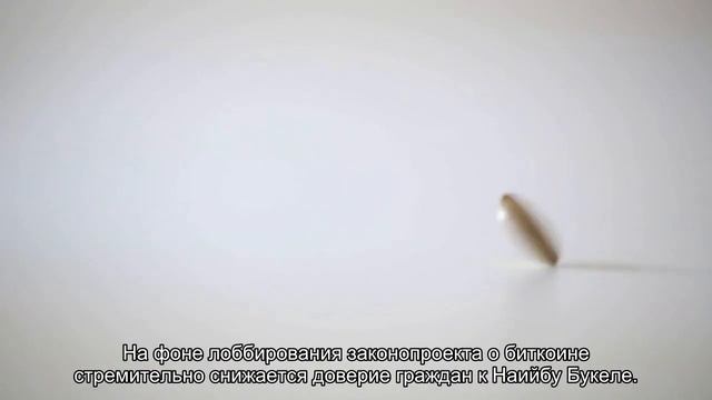 Сальвадорцы считают, что власти должны отменить закон о легализации биткоина смотреть онлайн