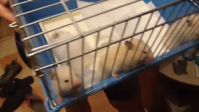 1 месяц(29 июля-29 августа)... смотреть онлайн