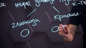 Органические вещества клетки: полимеры и мономеры. 8 класс.