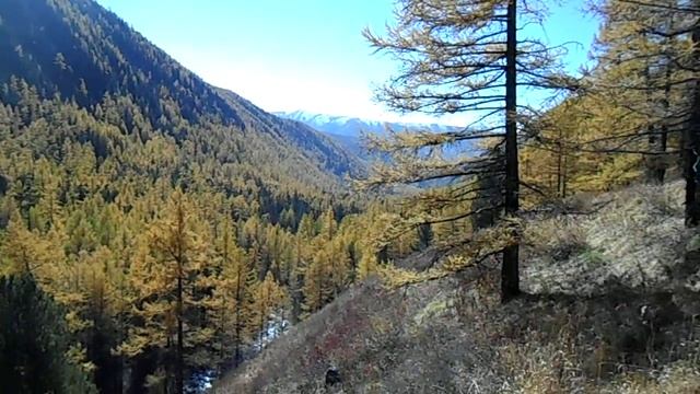 Идем по долине Сухой Тыдтугем. Сентябрь 2014 г. смотреть онлайн