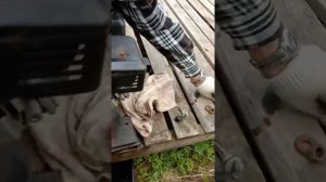 Обслуживание китайского двигателя для мотоблока Урал.