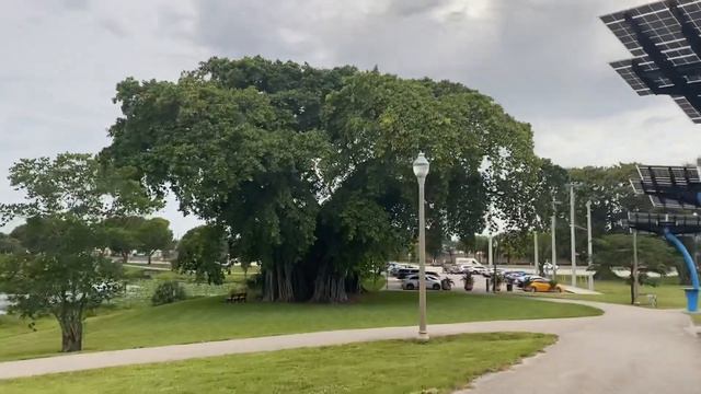 Курсы личностного роста в США. Кому они помогают? | Florida VLOG смотреть онлайн