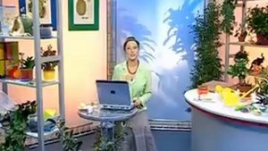 Биология 1. Польза музыки — Академия занимательных наук