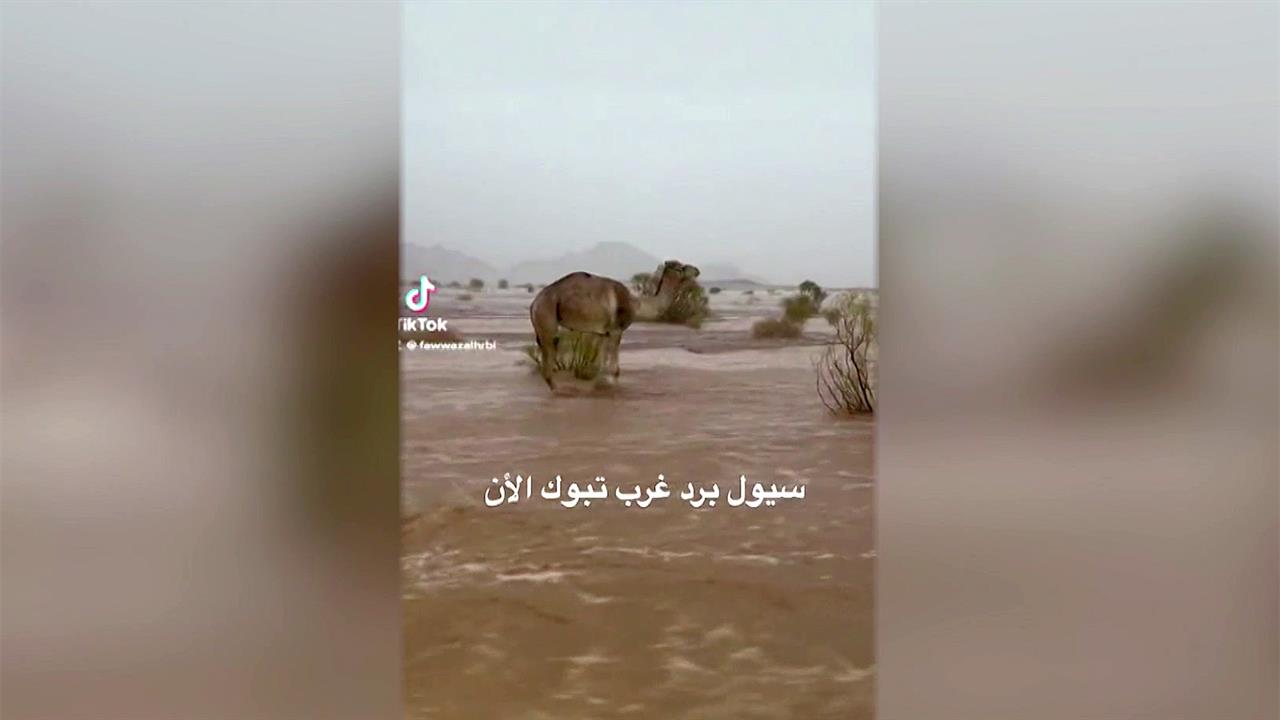 В Саудовской Аравии потоп в пустыне: аномальный для этих широт сезон дождей