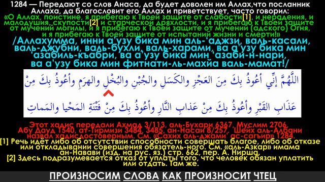 О Аллах, поистине, я прибегаю к Твоей защите от слабости, и нерадения, и малодушия, скупости
