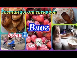 247/У нас дубак/Витаминчики от свекрови