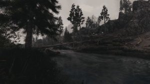 SKYRIM SE Dark Fantasy / Cold Visual Setup | Berxerk ENB (4K)
