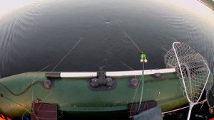 Простая прикормка на леща. Лещ в Чардыме. Рыбалка в Саратовской области.