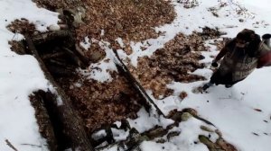 Стейк из Баранины на Природе Азербайджанская кухня Деревенская Кухня Рецепты бабушки