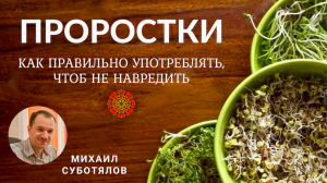 ПРОРОСТКИ. Как правильно употреблять, чтобы не навредить.