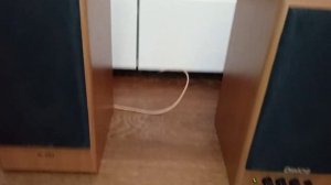 Обзор активных колонок 2.0 Dialog W 204