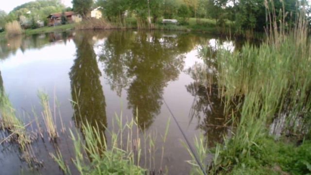 angeln-video 1. Ловля рыбы махавой удочкой с глухой оснасткой 1 . смотреть онлайн