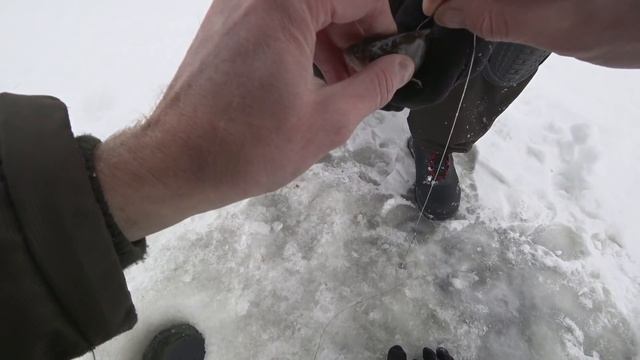 Зимняя рыбалка с палаткои эхолотом и комфортом!