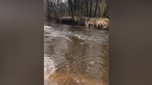 Река Тахало