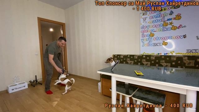 Человек Собаке Друг / 15.05.2023 смотреть онлайн