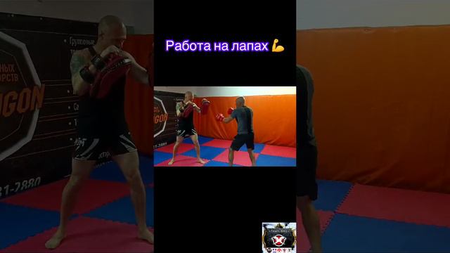 Отработка ударов на лапах 💪