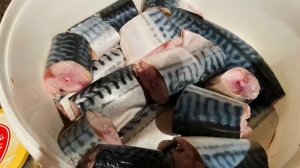 Малосолёная Скумбрия в Рассоле!??Солим Скумбрию в Домашних Условиях!✌️?Простой Рецепт-Вкусняшка?