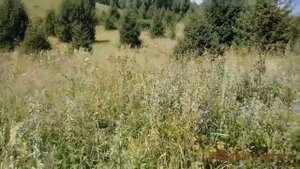 ТЕКЕЛИ. ПРОГУЛКА В СОЛДАТСКОЕ УЩЕЛЬЕ.