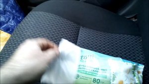 как быстро и дешево почистить салон автомобиля!