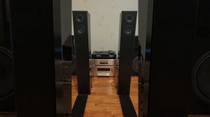 Pioneer S-ESR2-LR