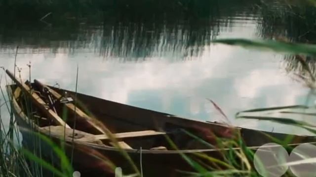 Л. П. Сабанеев. "Жизнь и ловля пресноводных рыб". ЛИНЬ.
