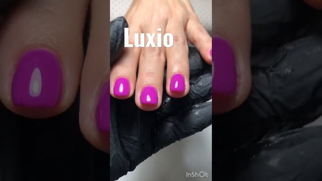 Luxio в Павшинской пойме