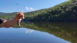 КРЫМ . ОЗЕРО МУГАЧИ.