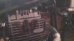 обзор МОТОЛЕНД V- RAPTOR -250