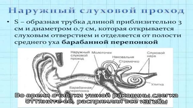Как чистить уши грудному ребенку