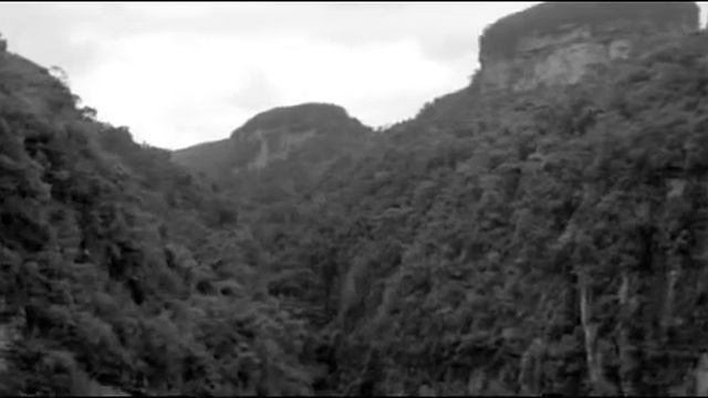 объятия змея смотреть онлайн