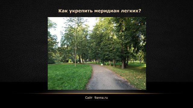 Как укрепить меридиан легких? Цигун и здоровье