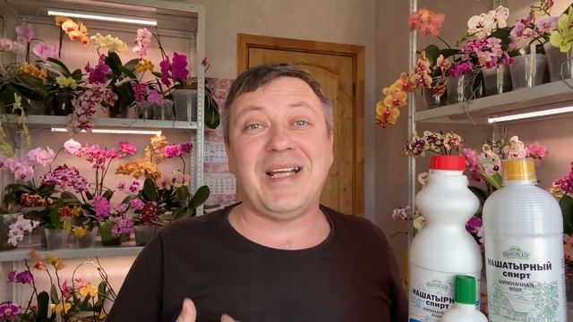 ЭТО ЯД для ОРХИДЕЙ стимулятор-убийца смотреть онлайн