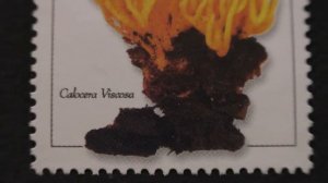 Postage stamp. Republique du BENIN. Calocera Viscosa. 2003. Price 270F