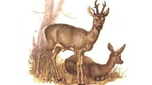 Нож Victorinox выручил на охоте, реальные (не диванные) случаи.