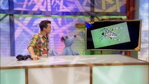 Wo leben die gefährlichsten Spinnen? l WOOZLE GOOZLE