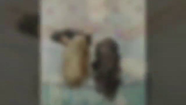 Самые красивые фото с девочками смотреть онлайн