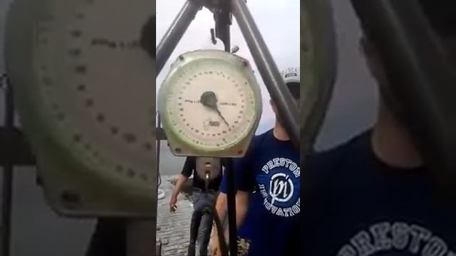 Выпускайте Кракена! Запуск в "Бобровый" пруд (РБ "Львово", Моск. обл.) карпа весом 21кг 450гр.! смотреть онлайн