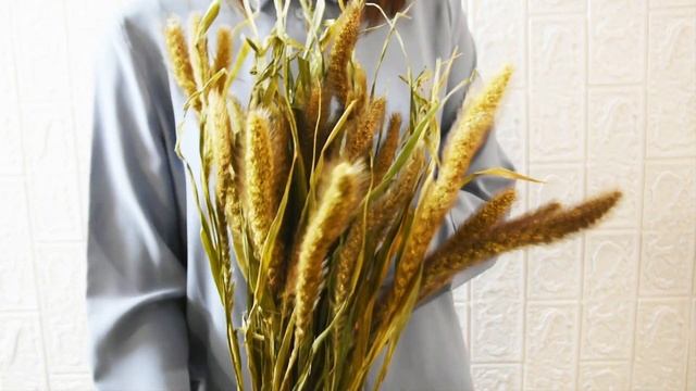 Сетария натуральная с листвой, сухоцвет, композиция из цветов